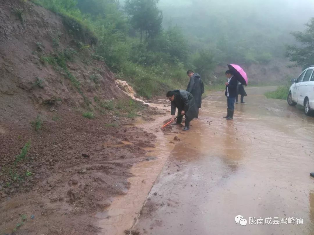 【抗洪抢险】成县苏元镇昌河坝,鸡峰镇,沙坝镇,在行动(现场多图)