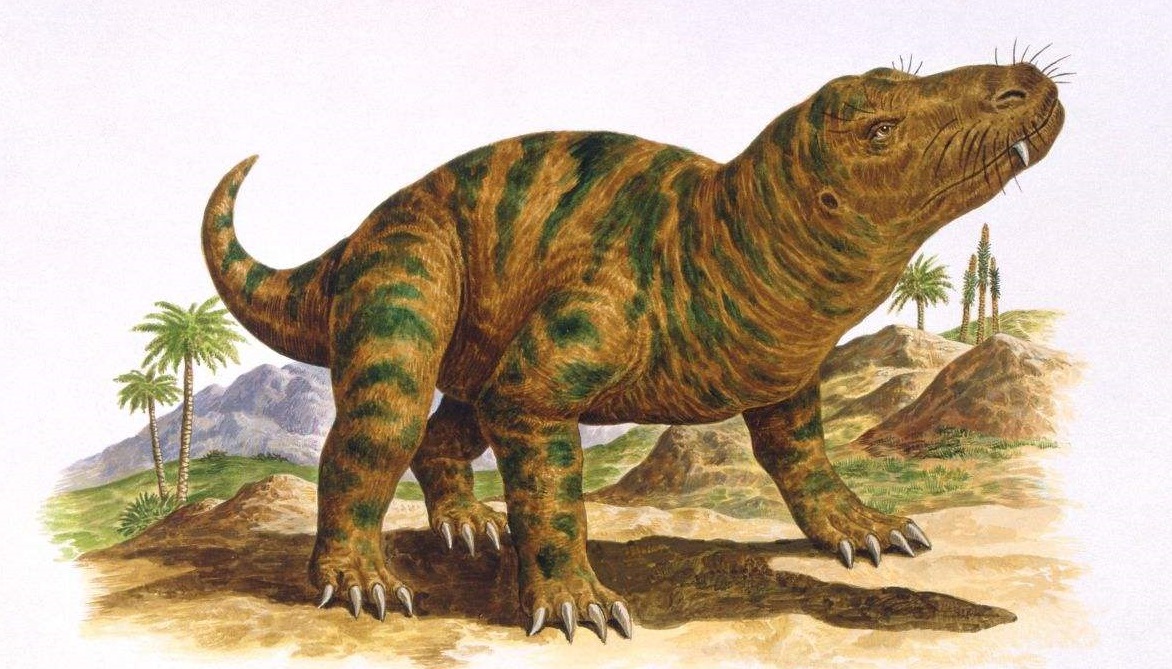 恐龙称霸了整个史前？至少在三叠纪没有做到，因为这种兽族！