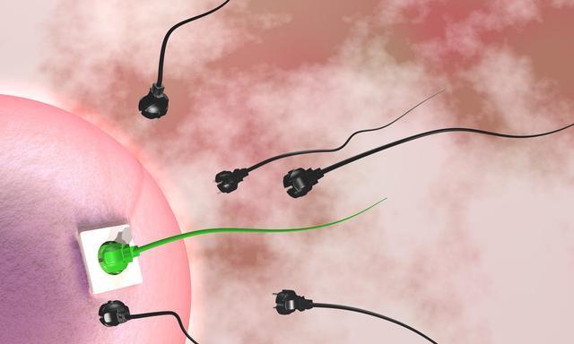 3ãç²¾å­å½¢æ   åªè¦ç·æ§ç²¾å­å¥åº·,ç¸å½¢ç²¾å­æå çæ¯ä¾å°äºç²¾å­æ»æ°ç30%.