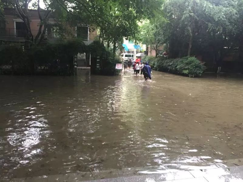 暴雨来袭,出行路上请多注意安全!