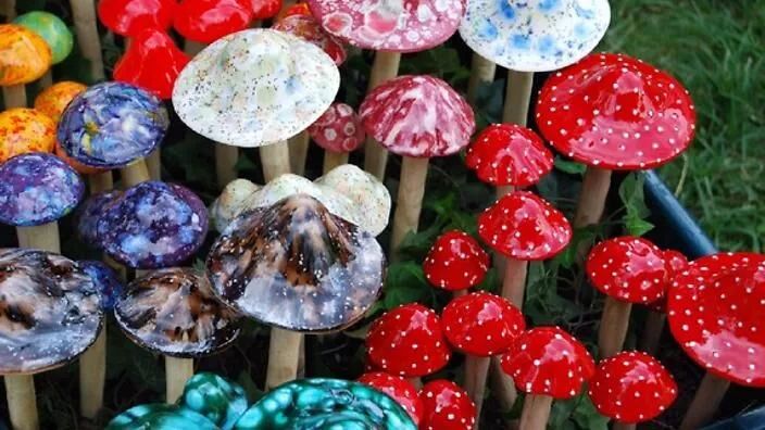 环保百科 | 8招教你辨别毒蘑菇,让你安全食用野蘑菇!