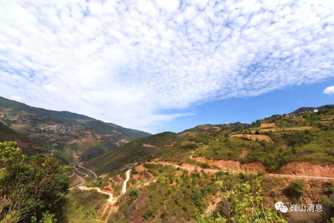 巍山县人口多少_巍山县小吃节图片