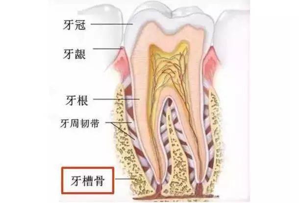 成年人口吃还能矫正吗_矫正口吃图片(2)