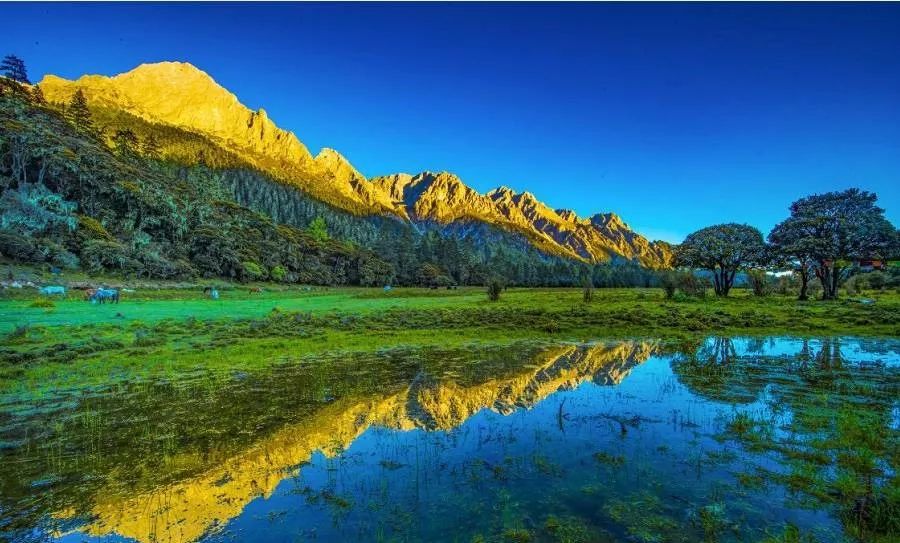 猎塔湖景区位于甘孜州九龙县境内,植被十分茂密,野生动植物种类繁多