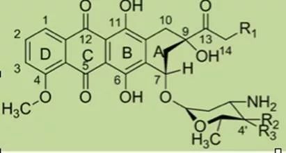 一文鉴别 | 蒽环类抗肿瘤药物的是是非非