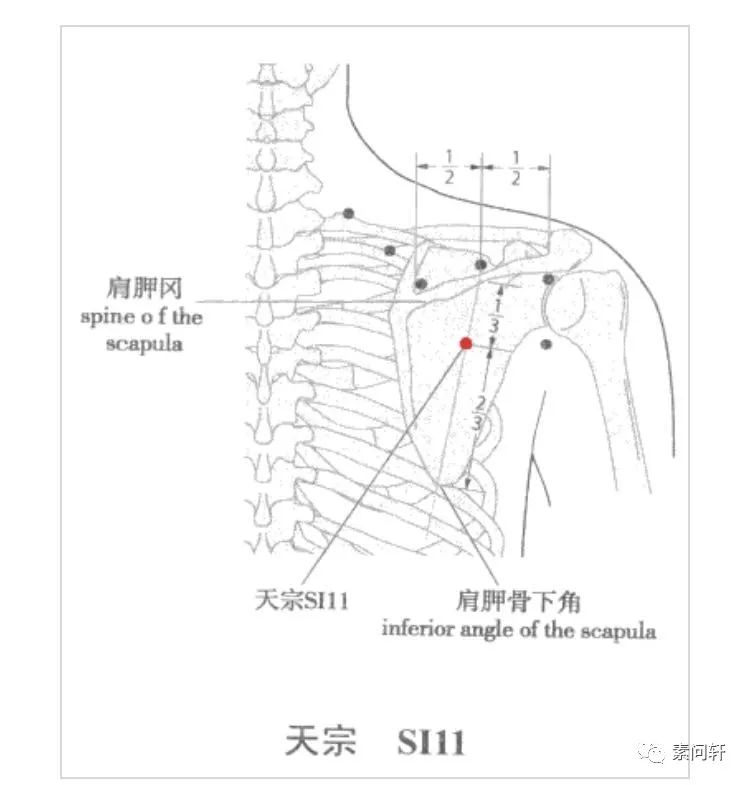 的话 那就要小心了 很有可能就是乳腺增生 屋翳yì穴是胃经上的穴位