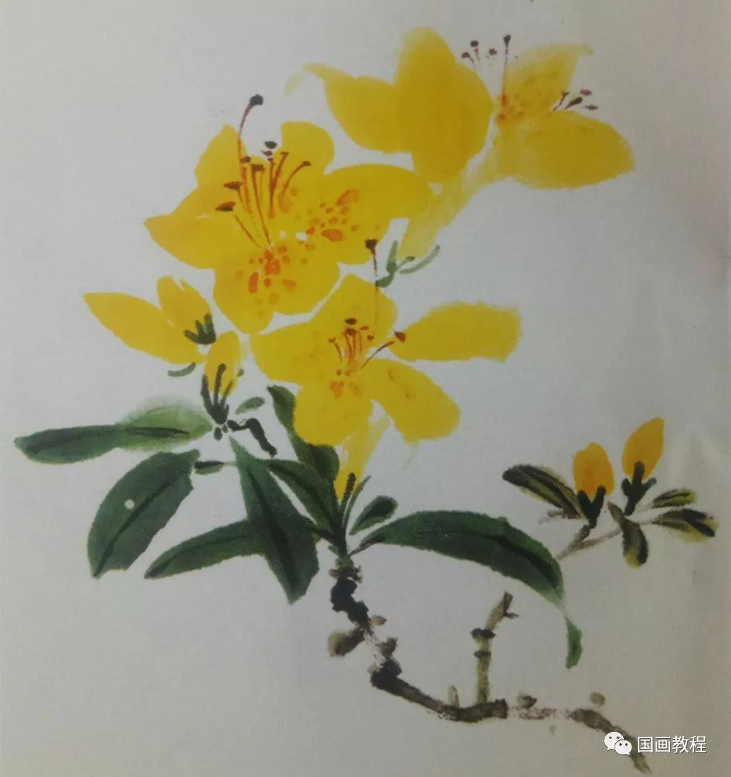 步骤1:此花为淡紫色,用三青调少许曙红侧锋画花瓣,大致五笔完成