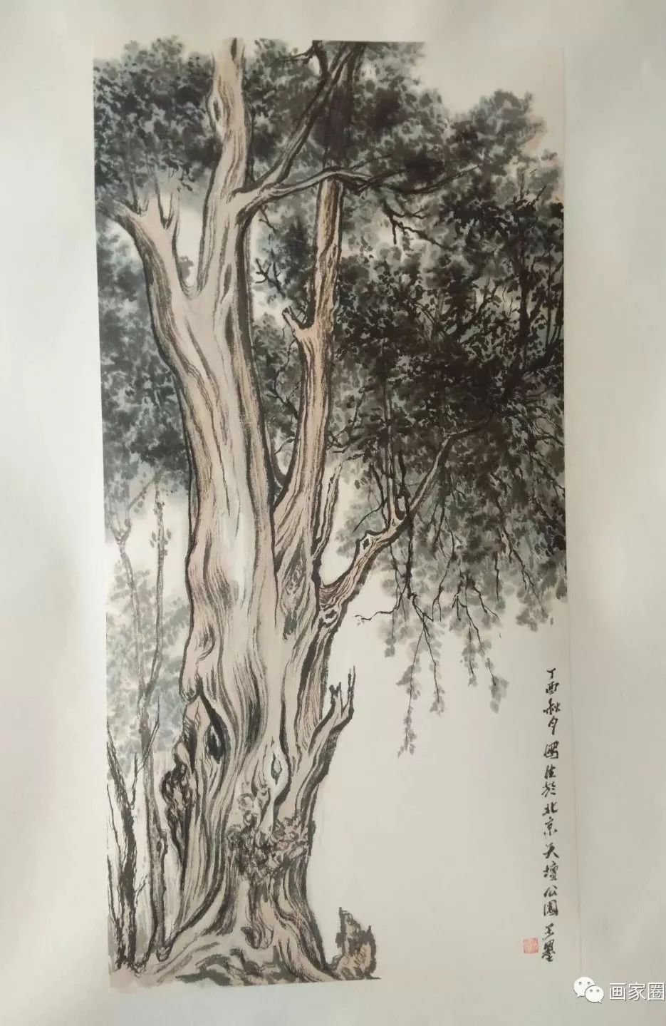 画家圈子推荐 | 中国美协艺术家--王墨老师的国画作品