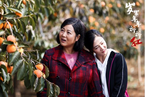 《岁岁年年柿柿红》热播 王茜华携张燕妮演绎母女情深