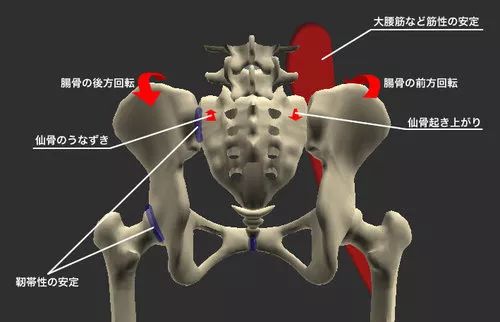 骨盆旋转和高低差的简易检查