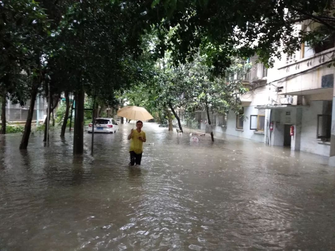 就算大雨让这座城市颠倒,今天的青白江人仍会给你最暖