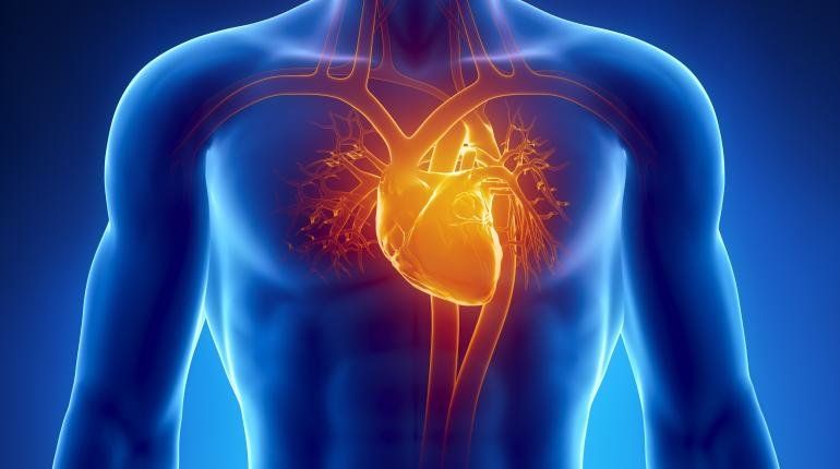 重大医学发现:科学家证实,癌症自愈源于心脏