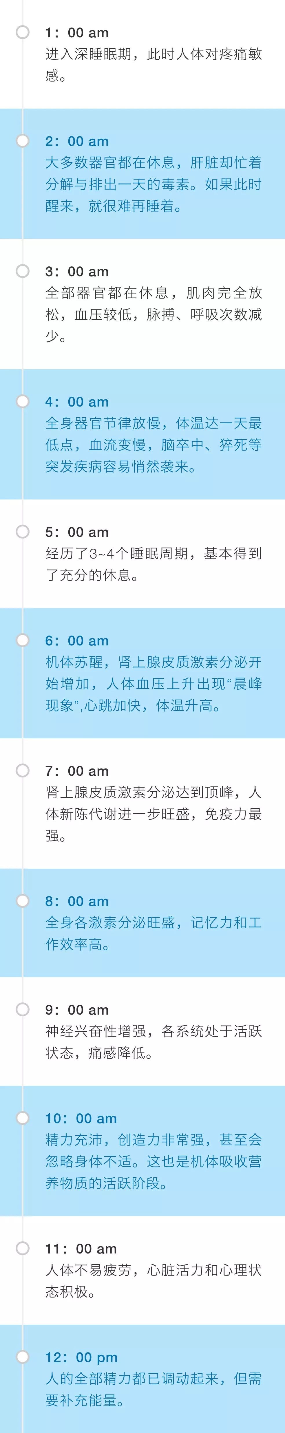 24小时 人体时间表 熬夜加班 不按时吃饭 都会强行打乱生物钟 经常