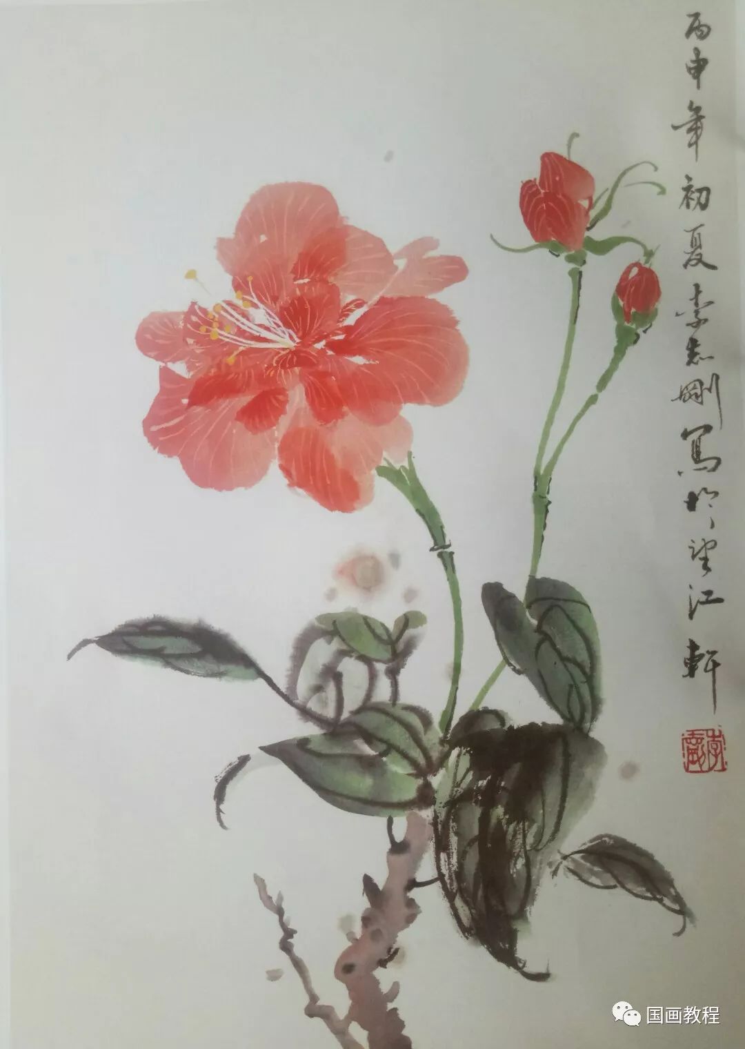 小写意花卉画法详解—作品《扶桑》的画法!