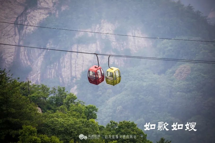 送你一首凉凉不如送你去栾川老君山旅游