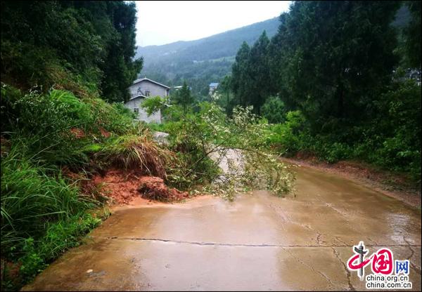 剑阁杨村人口_守卫剑阁(2)