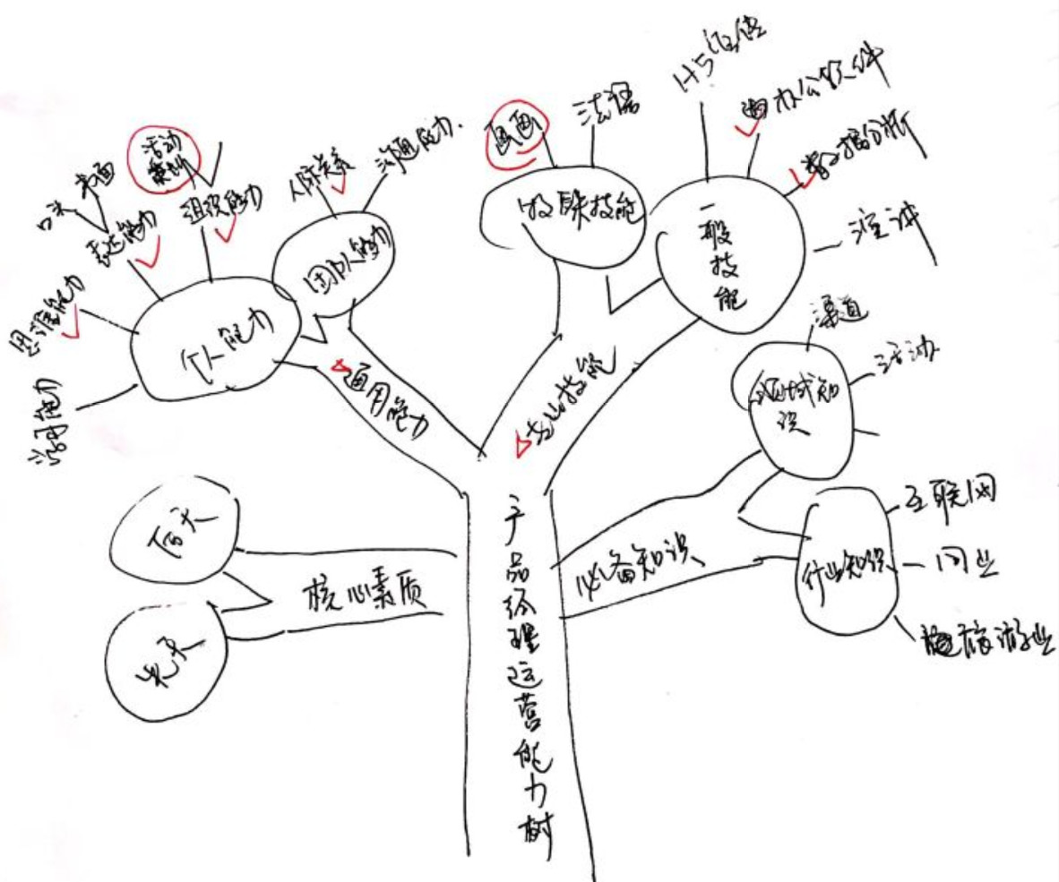 图一:youcore训练营学员叶健欣的能力树手绘图