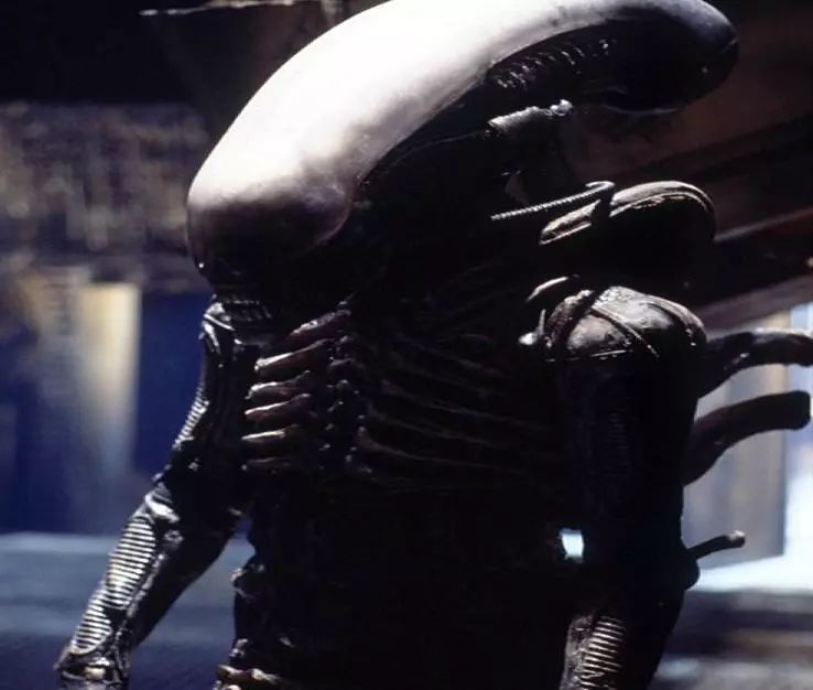 异形 alien (1979)