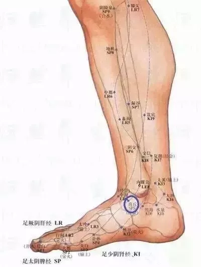 人体自有的消炎大药:商丘穴