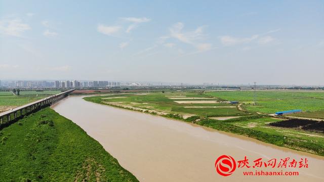 洪水前的渭河沙王大桥航拍景象.记者 杨大君 于雷 摄