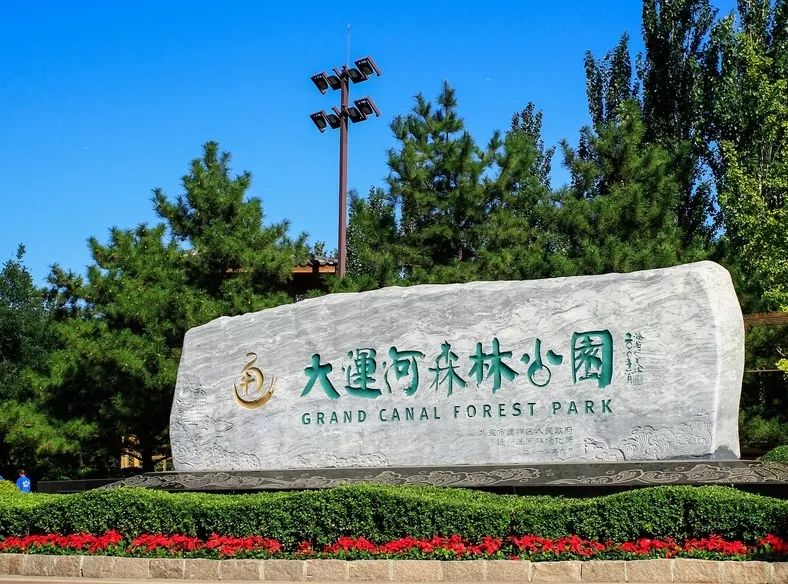 这个北京城东边的万亩森林大公园,可以感受大自然的美景和欣赏大运河