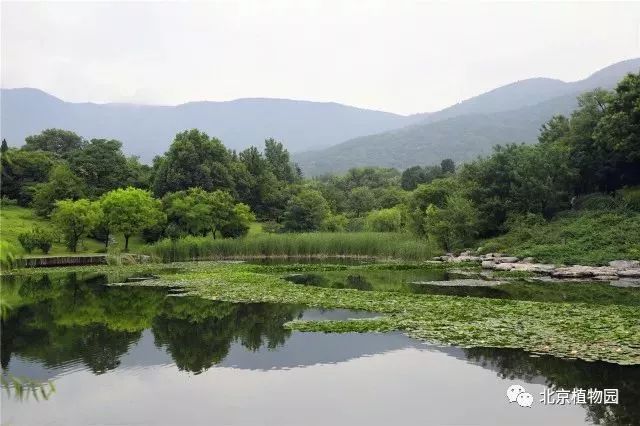 雨后风景,也可以这么美!