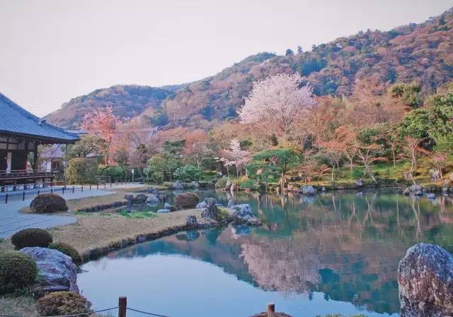 日本京都,风景如此的静美!