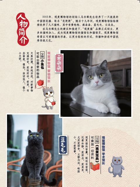 与萌猫同行向知识进发观复猫小学馆云朵朵除妖记新书首发式在京举行