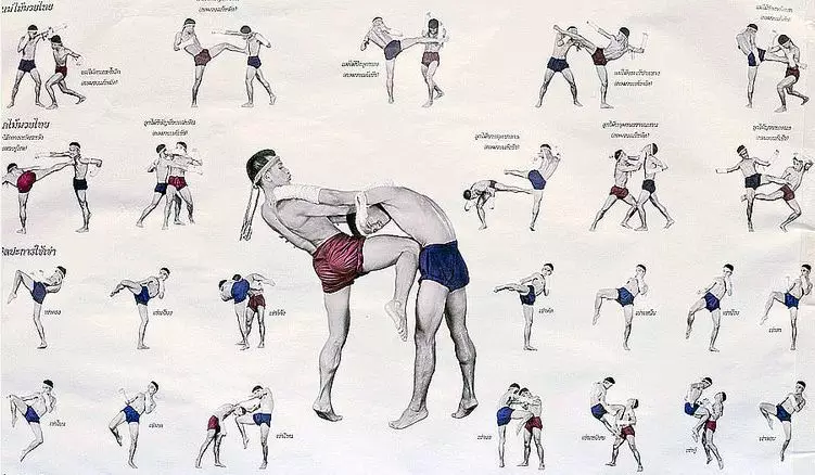 体育 正文   古泰拳 为战争所用,招式包括头撞,口咬,拳打,脚踢,蹬踹