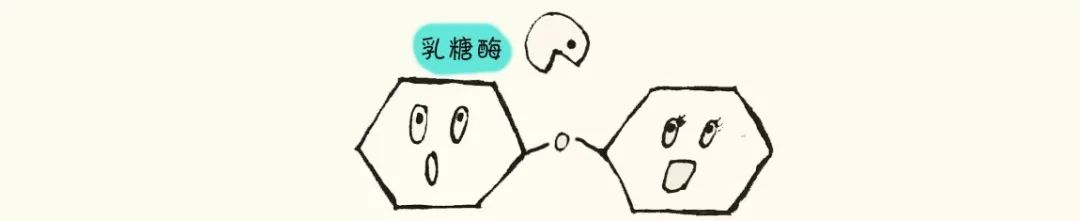 营养师oria你有乳糖不耐症吗