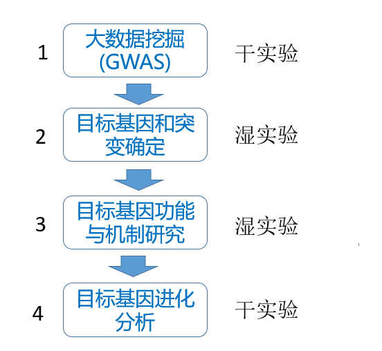 文章的结构