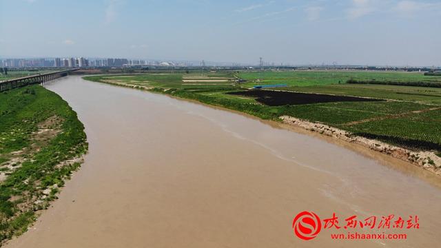 洪水通过渭河沙王大桥航拍景象.记者 杨大君 于雷 摄