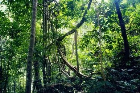 高黎贡山自然之旅体验