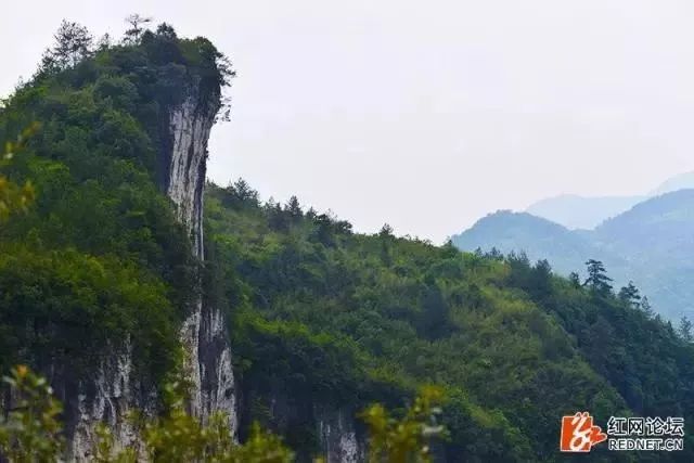 官地坪镇位于桑植县东北部,距县城 48公里,与马合口,麦地坪,人潮溪