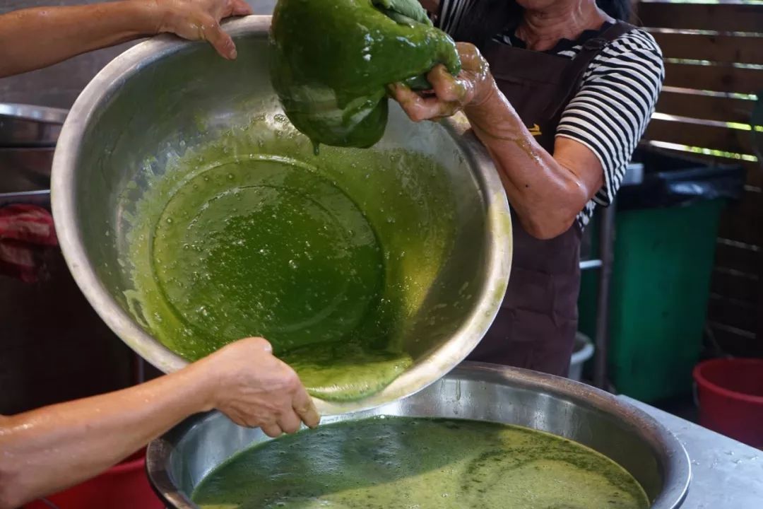 夏日青田美食树叶做的绿豆腐