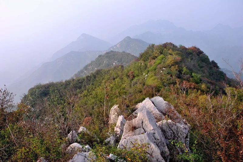 大台山情愫(刘保林)