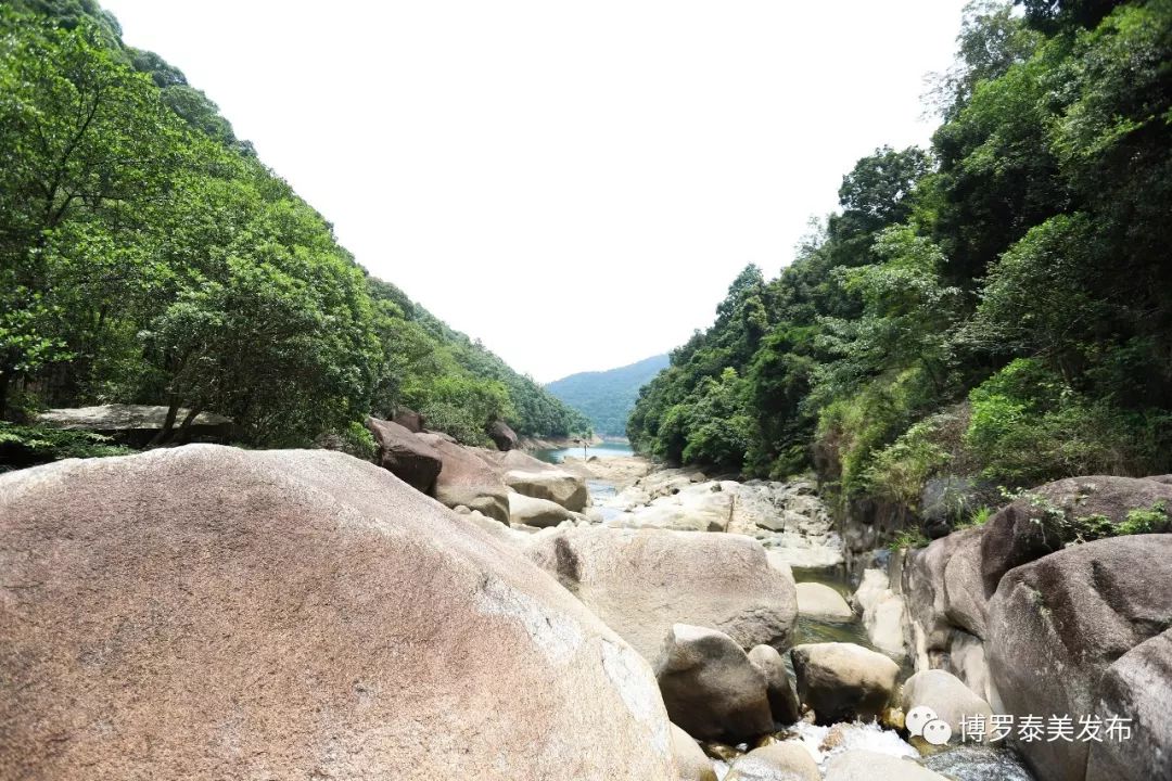 博罗泰美:映日荷花别样红,美女溪边戏水乐无穷