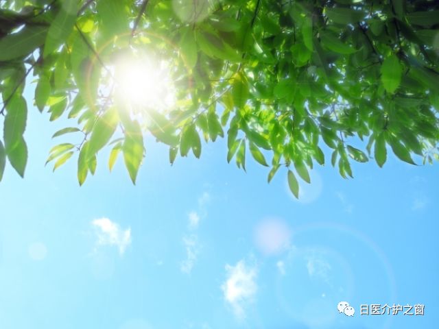 苦夏难熬度过炎炎夏日请记住这5条