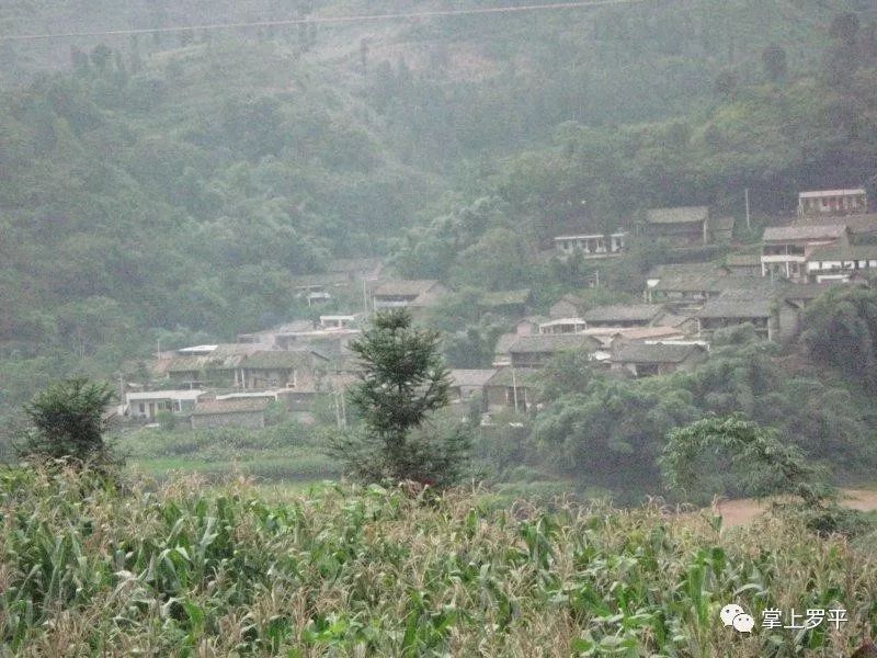 罗平这个小山村,3年来发生大变化