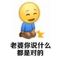 哄老婆专用emjoy表情包:老婆你说什么都是对的