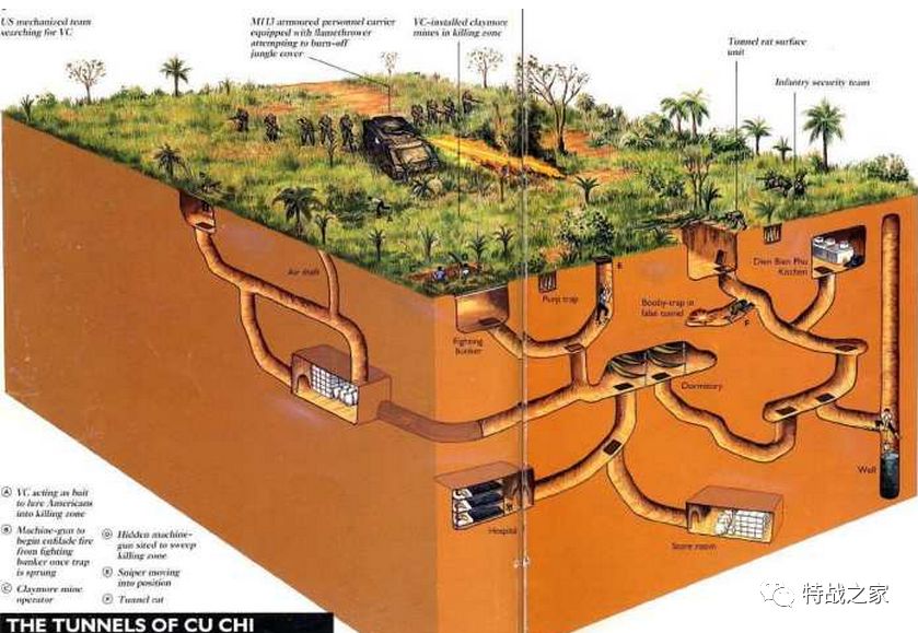 一战堑壕和越南地道谁更厉害
