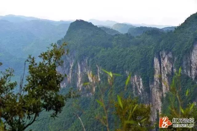 官地坪镇位于桑植县东北部,距县城 48公里,与马合口,麦地坪,人潮溪