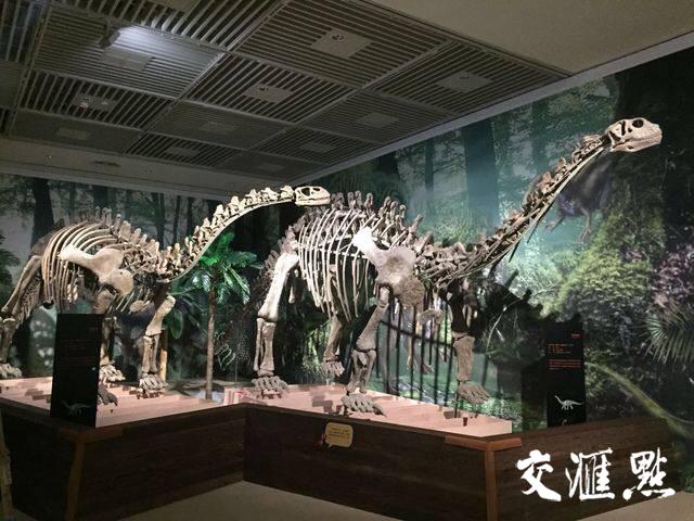 燃!侏罗纪世界真正的霸主亮相南京博物院