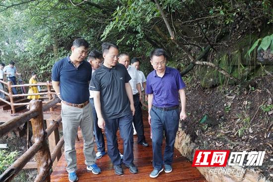 武陵源区:郑小胡带队检查核心景区旅游安全生产工作