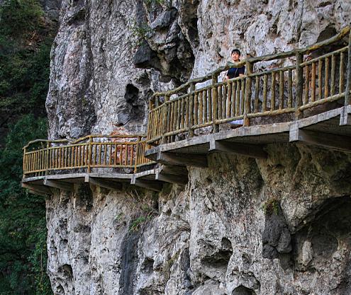 有一个亲子研学基地风景如画那就是清远阳山神峰关