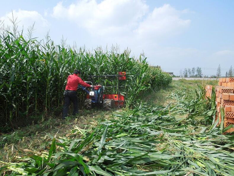 鋪放式油菜籽收割機 家用手扶大豆收割機 科技 第24張