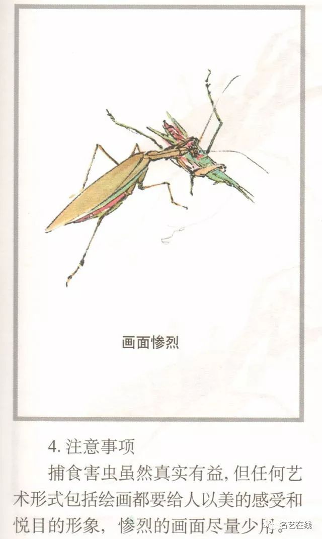 国画技法螳螂的工笔及写意画法附齐白石螳螂作品