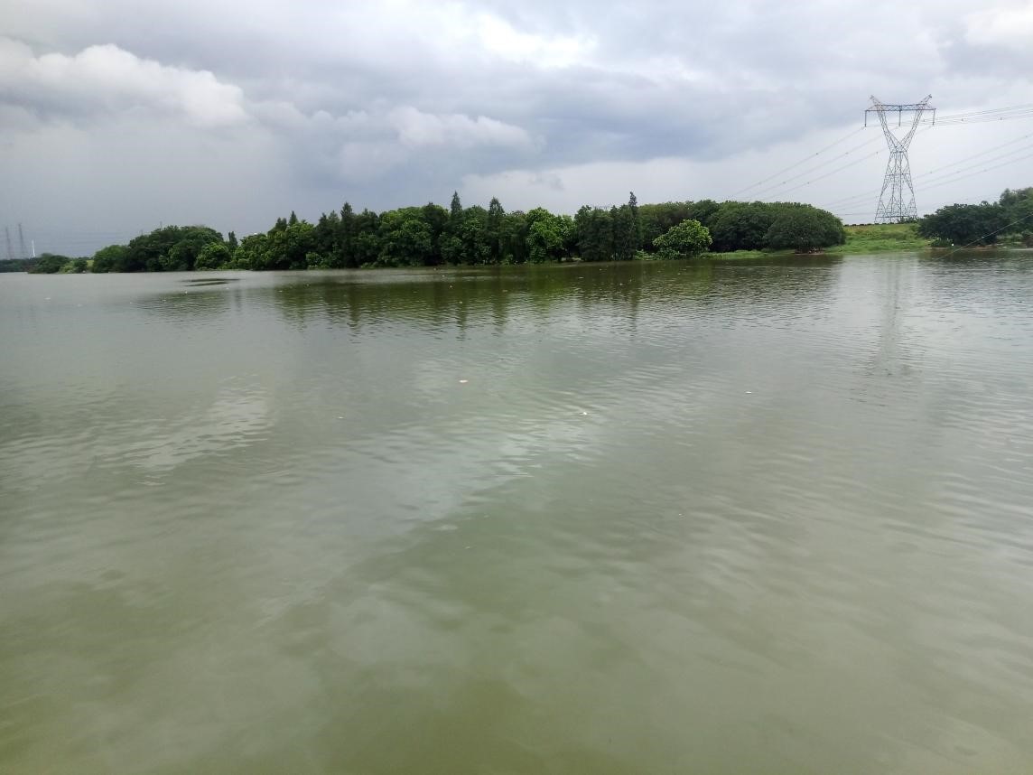 广州钓鱼:雨中作钓人和,有鱼也有景!