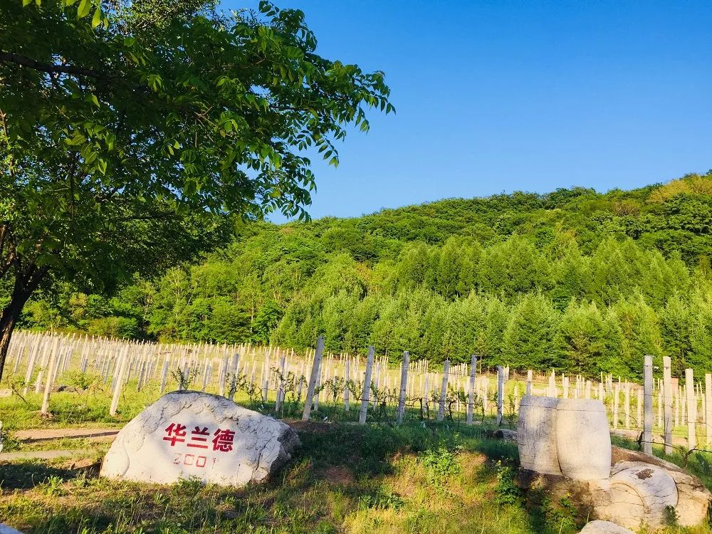 热烈祝贺蛟河市庆岭镇华兰德酒庄被命名为2018年吉林妇女农家乐乡村