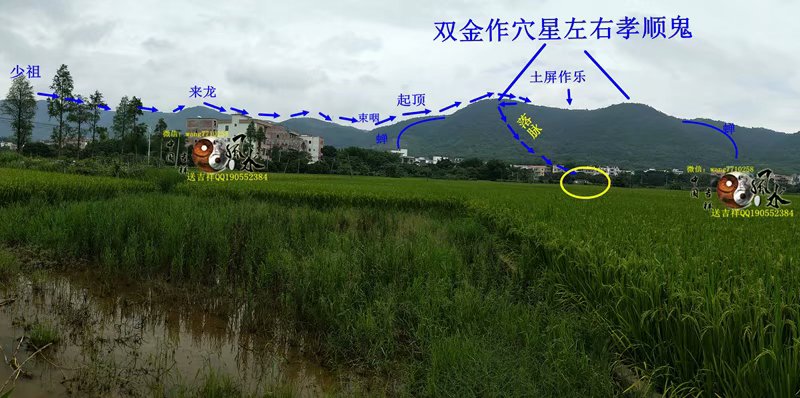 上天注定姓氏的风水宝地，后人富的流油……